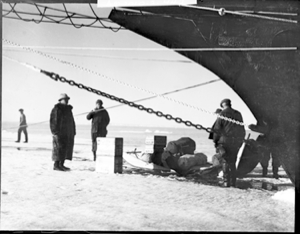 Image of Loading sledge by the MORRISSEY's bow. Bartlett in long fur coat